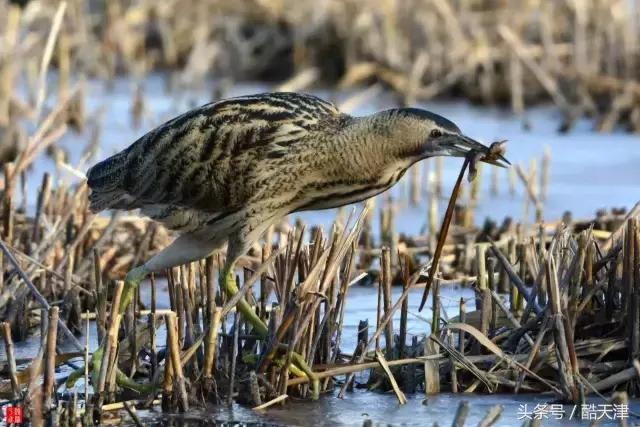 北京旅游环球长城故宫攻略,北京一日游故宫长城攻略图解