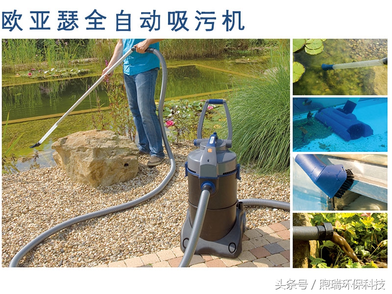 锦鲤鱼池生态循环过滤,锦鲤鱼池过滤系统视频