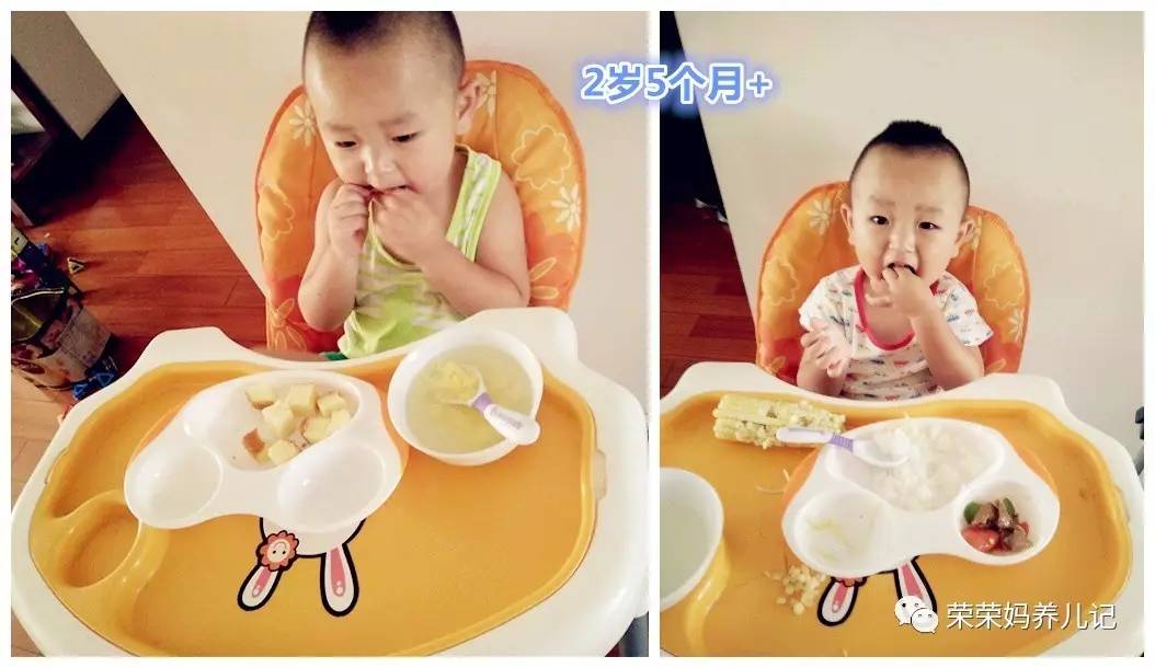 喂一个孩子长大竟然需要用这么多碗?细数各种类型的辅食碗优劣