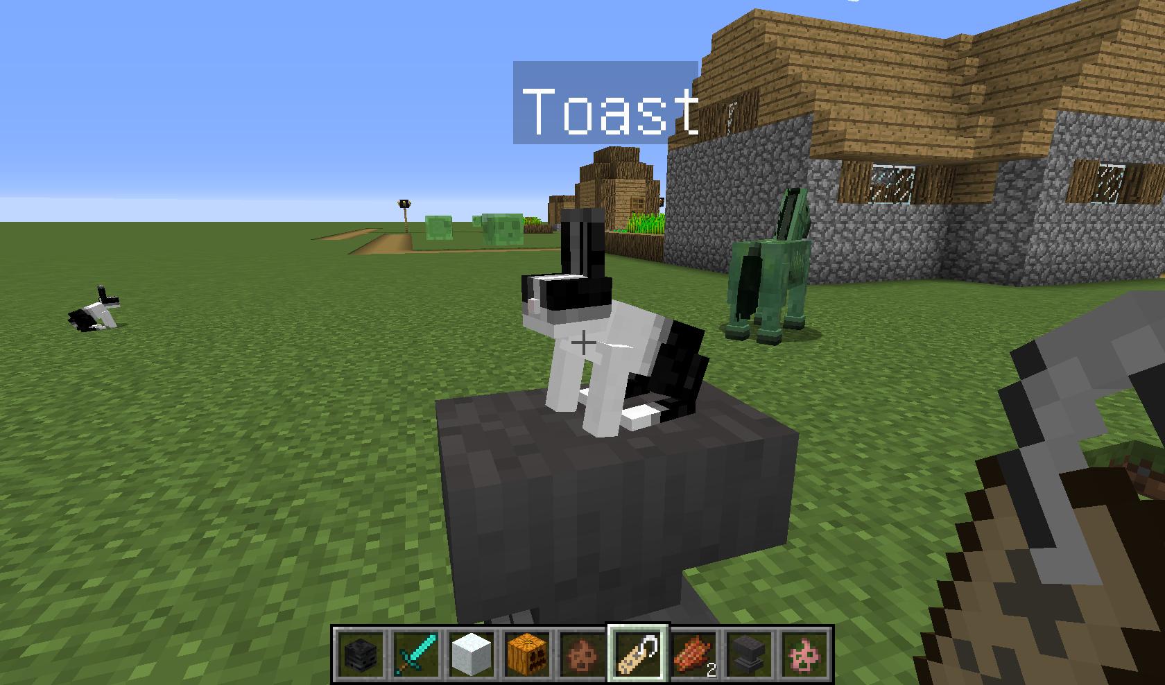 我的世界手机版无限矿石大陆彩蛋,我的世界艾利克斯和史蒂夫彩蛋