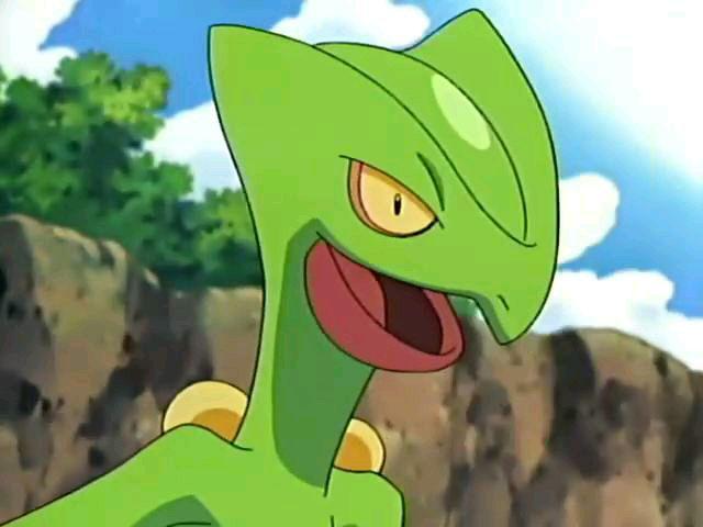 宠物小精灵小智手中最强10只精灵,宠物小精灵之精灵培育