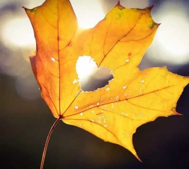 年少无知,一个单纯男孩儿的情殇梦魇