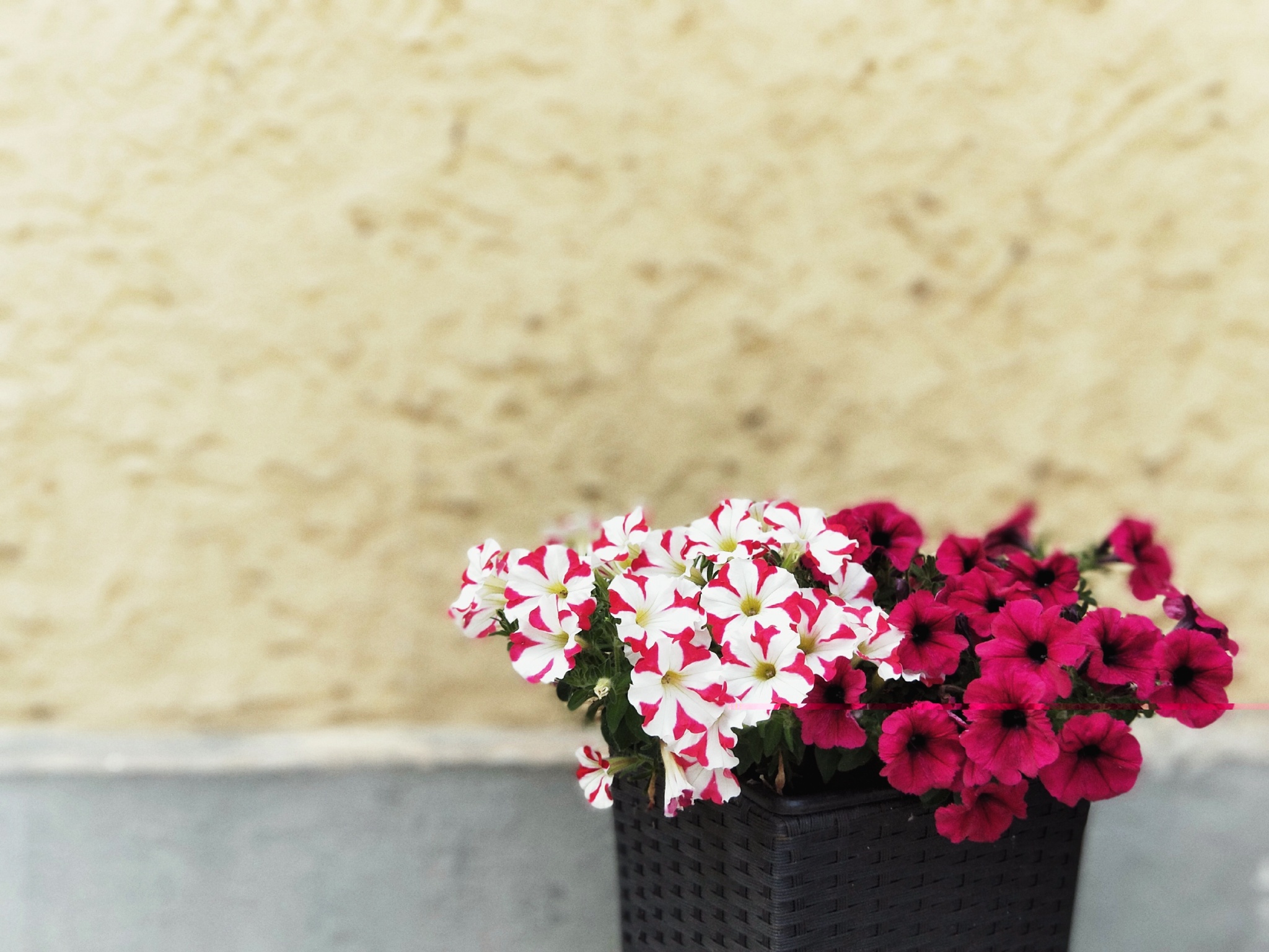 旅游风景手机怎么拍出高级感,旅游产品如何打造爆品