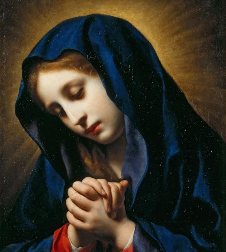 相机存储卡有假货吗,怎么检测相机储存卡是不是假卡