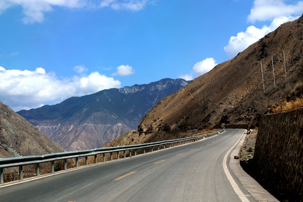 每日花语陈春花,每日花语全集