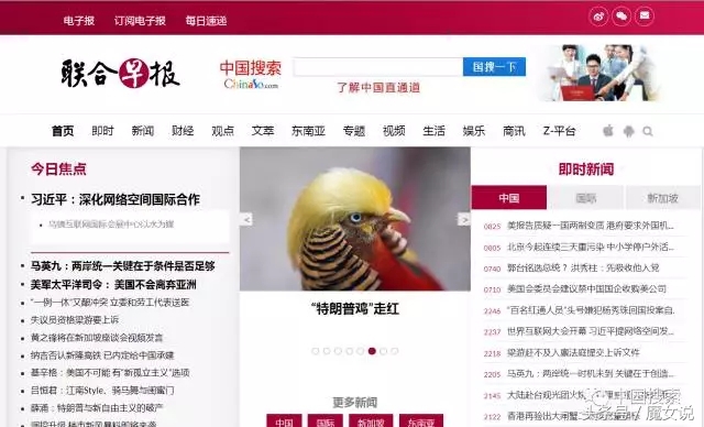 中国最有权威的搜索平台,中国搜索是权威搜索平台吗