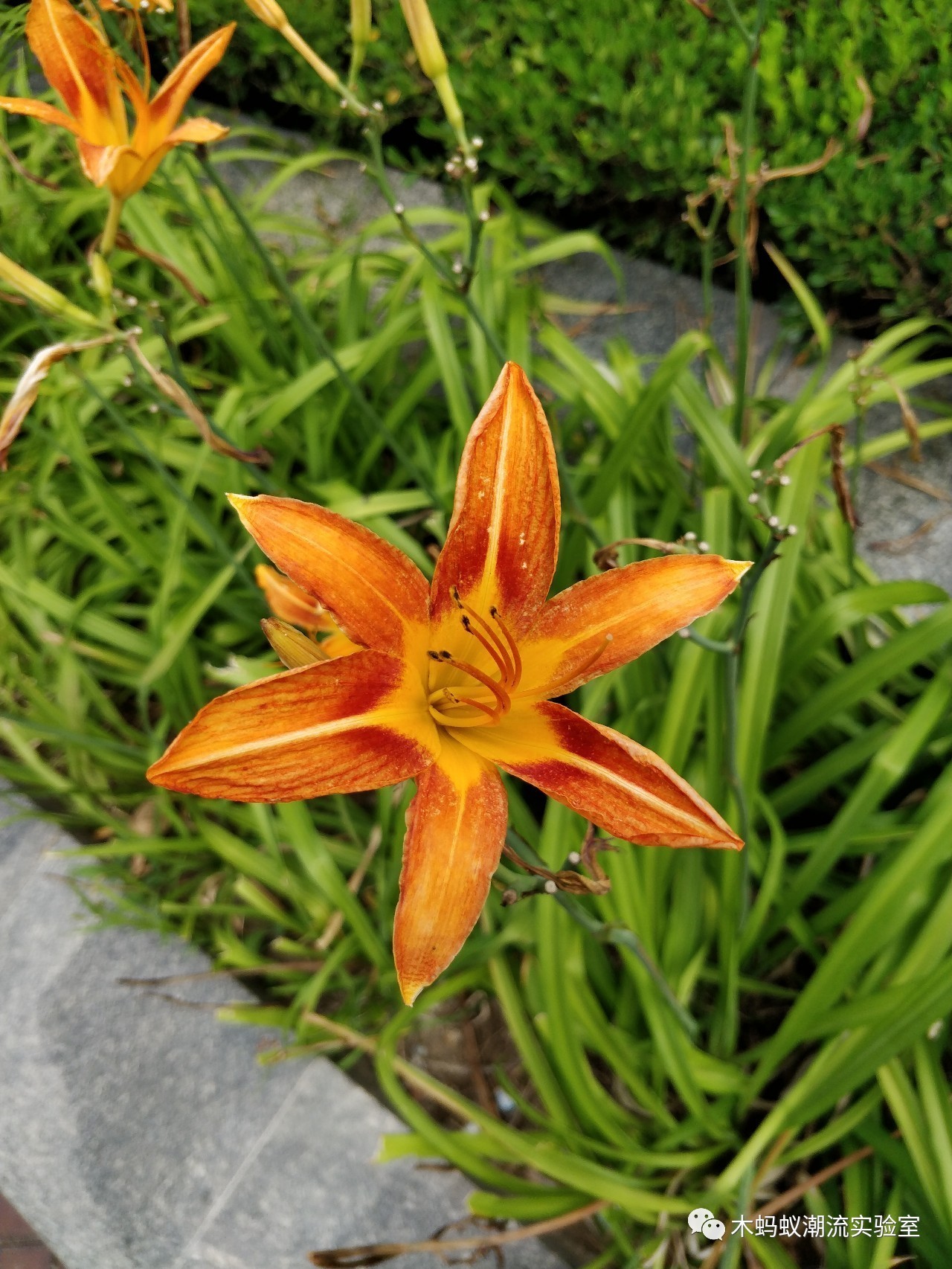 一加5使用的真实感受,一加5评测耳机孔