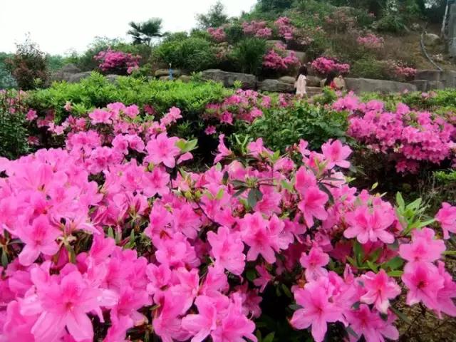 韶关,一个我们舍不得说再见的地方,韶关人顶起!