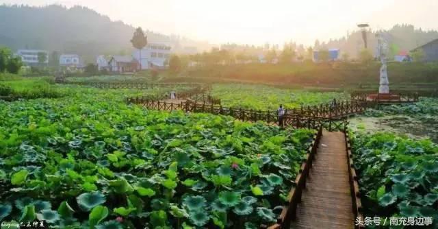 南充露营玩水推荐地方免费,南充市露营最佳地点七坪寨