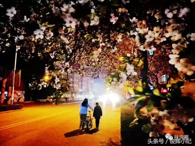 什么叫太康,什么叫扶沟