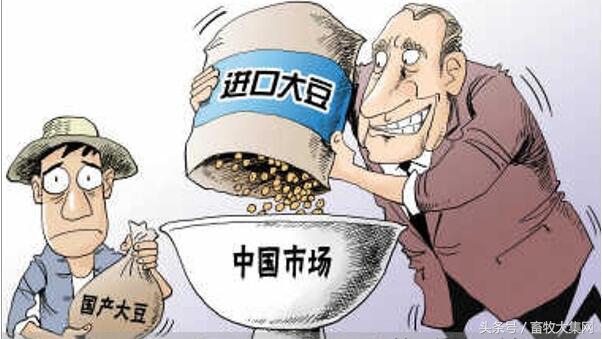 美国牛肉返华之后是什么牛奶、鸡肉、猪肉甚至连大米也要来国内农民准备好了吗？