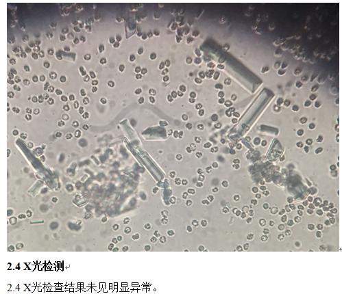猫膀胱炎尿血但是精神正常,猫膀胱炎尿不出来怎么办