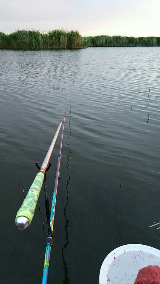 与佳小药有效吗,与佳小药好用不