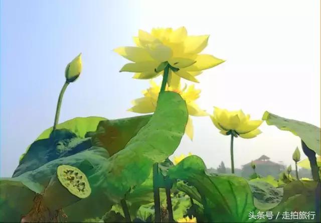 滁州游玩攻略潮玩街区,滁州最值得玩的地方