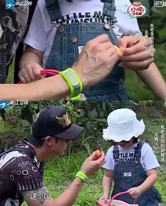 亲测10款驱蚊产品使用报告,10款驱蚊贴产品良心测评