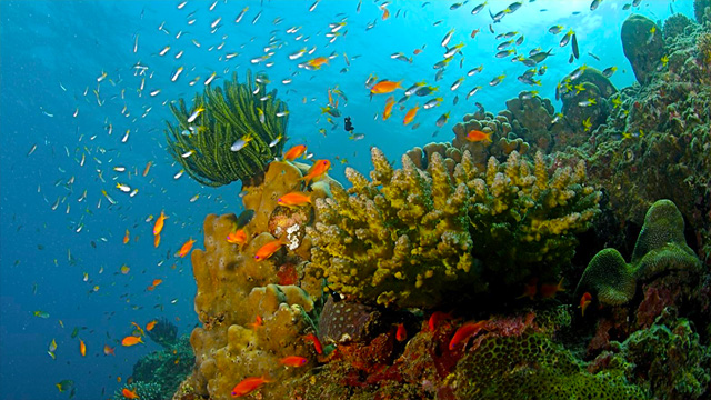 普吉岛出国办理要多久,普吉岛免签出关