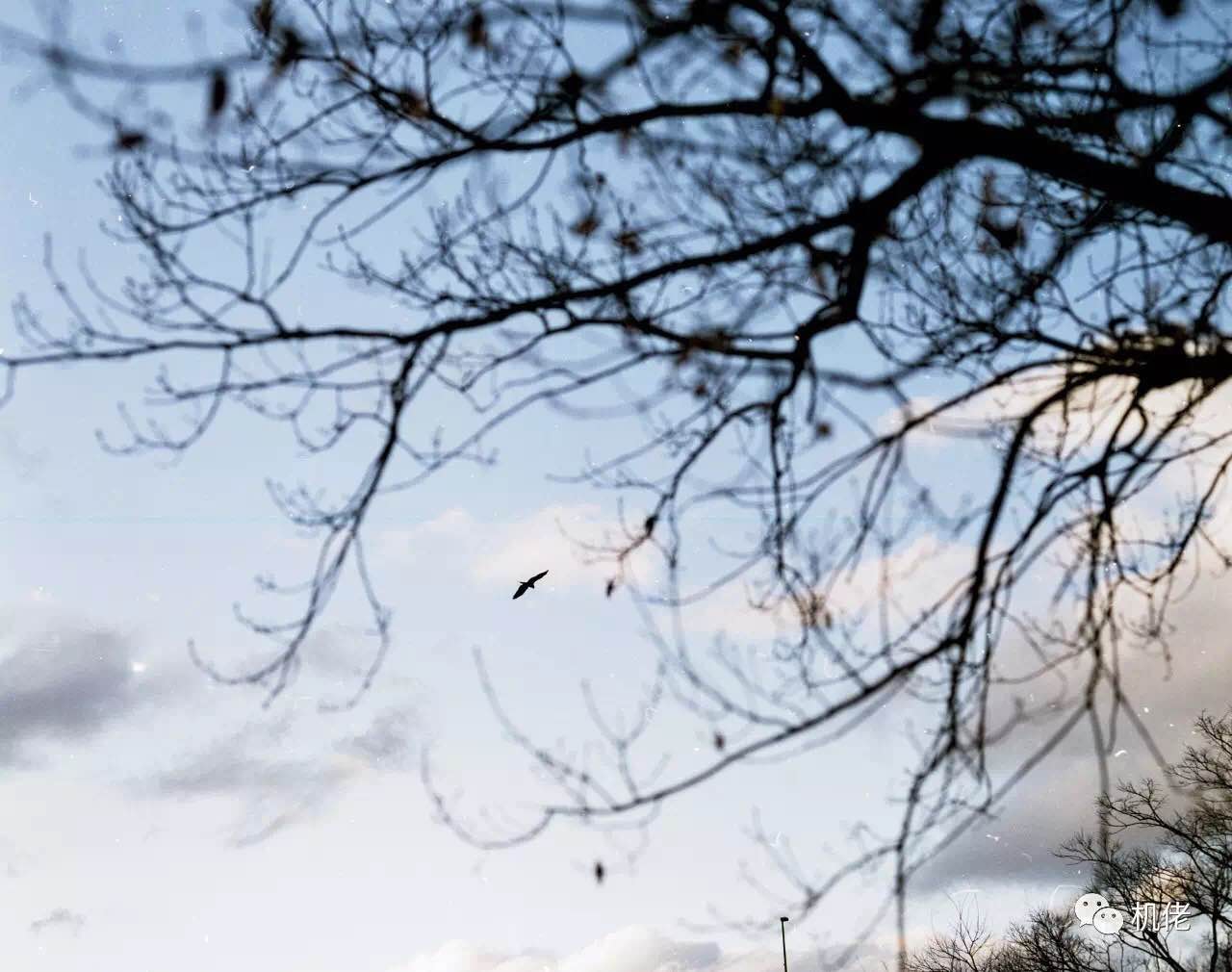 宾得67ii黑白人像,宾得67拍摄效果