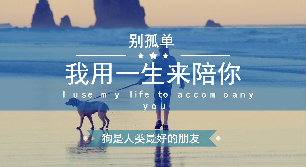 养金毛幼犬的注意事项,北京养金毛犬国家有规定吗