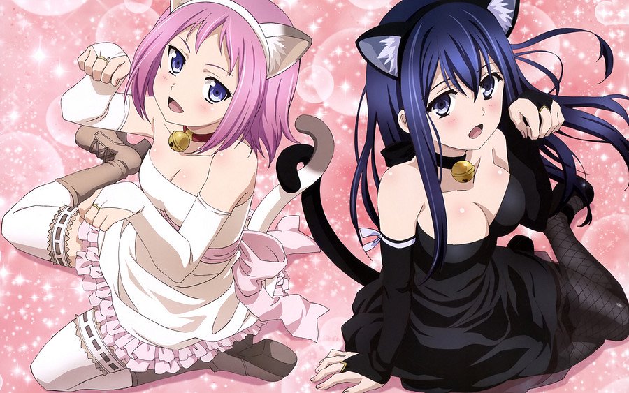 合集！30部热血+战斗+后宫的动画，有哪些值得你再追一遍？（附看片去处）