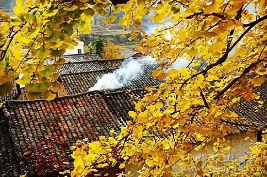 韶关,一个我们舍不得说再见的地方,韶关人顶起!