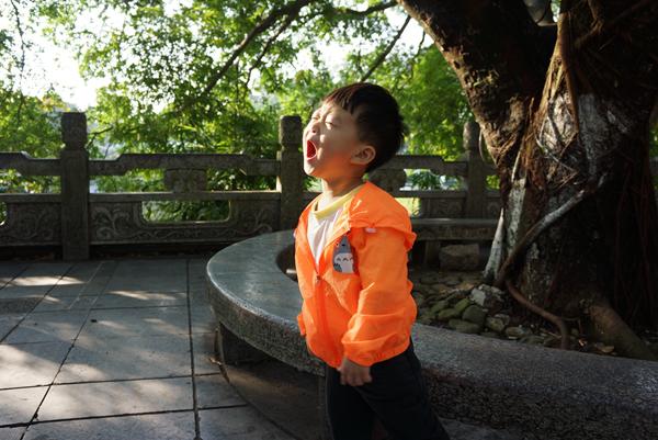 去桂林如何最省钱的玩,一家三口自己去桂林旅游