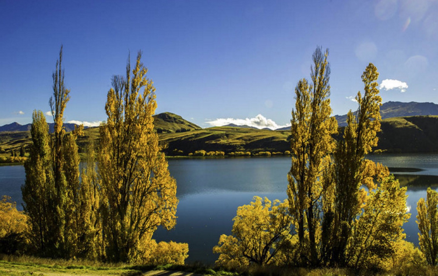 新西兰南岛的冬天,新西兰南岛秋天最佳时间