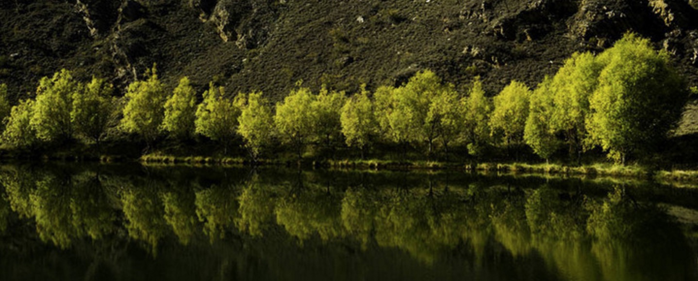 新西兰南岛的冬天,新西兰南岛秋天最佳时间