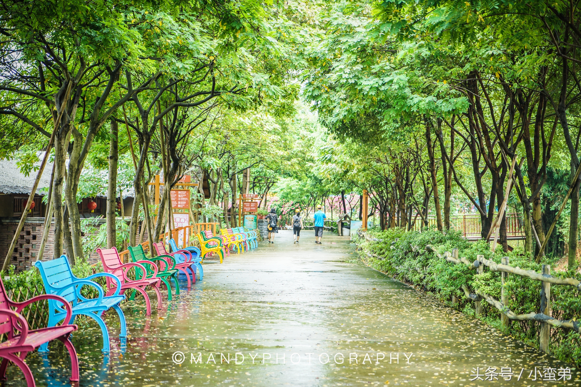 广州周边不为人知的宝藏景点,广州水上乐园旅游景点推荐