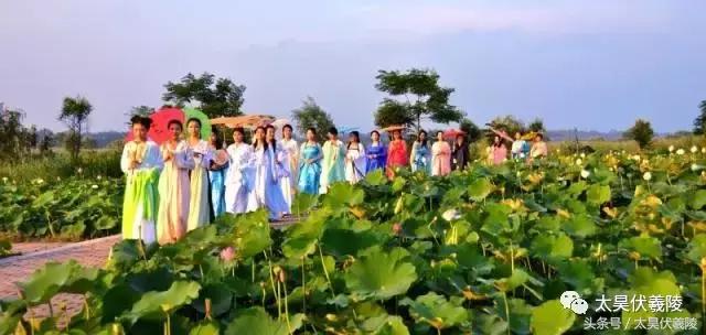 2022淮阳龙湖赏荷旅游月开幕式,中国淮阳龙湖赏荷旅游月活动启动