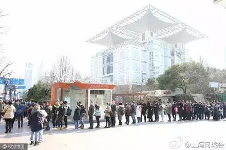 在深圳的网红美食,深圳美食网红打卡地