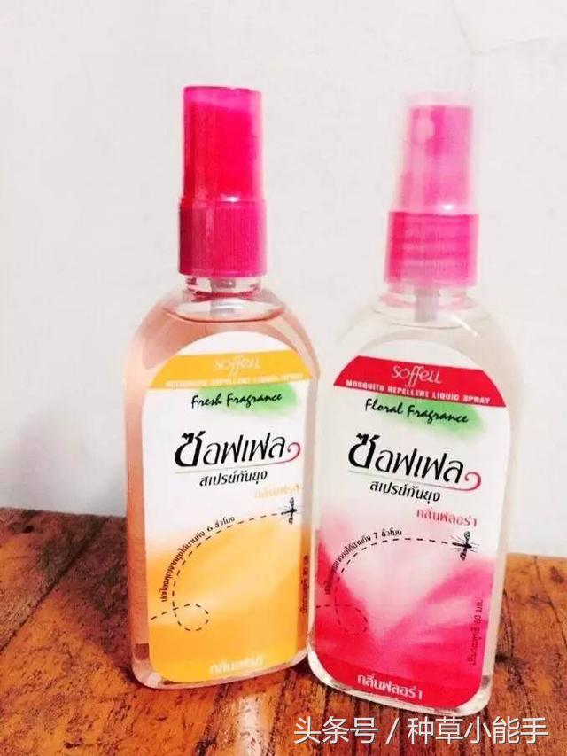 草单:翻包!我的日常包包里究竟装着什么?