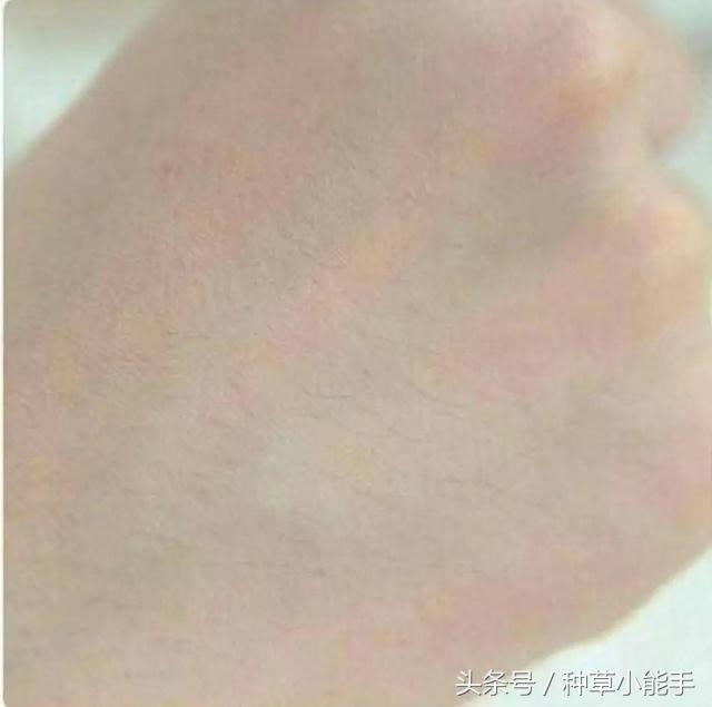 草单:翻包!我的日常包包里究竟装着什么?