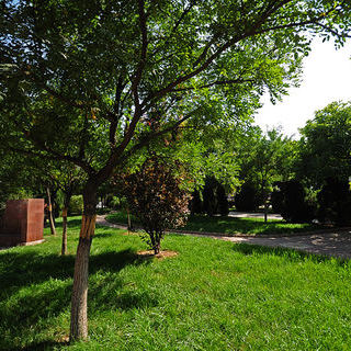 山东德州学院有望成功“申硕”,山东德州学院保洁阿姨