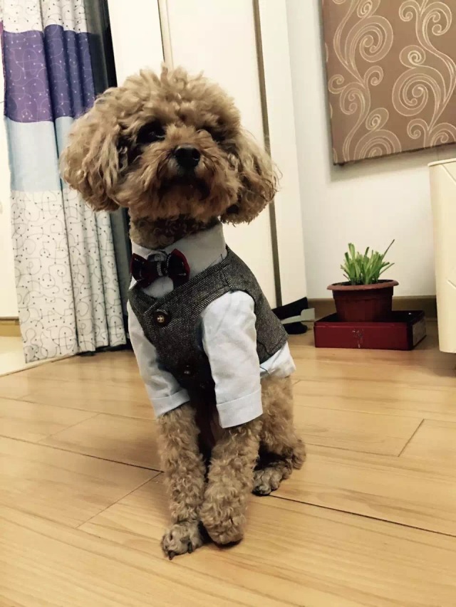 客片故事：没想到真心话大冒险游戏的惩罚，竟然这么快成了真！