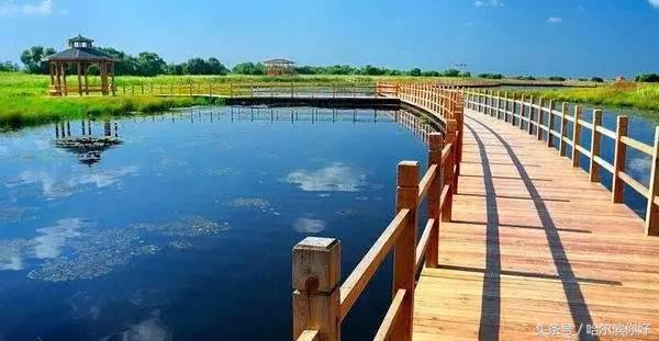 对不起,我要去黑龙江抚远了!