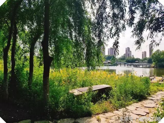 养心山语湖之天然的亚泰“家”氧吧