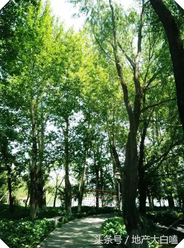 养心山语湖之天然的亚泰“家”氧吧