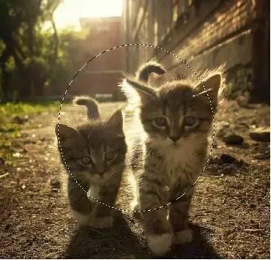 如何用ps蒙版功能练线条,如何用ps蒙版抠图