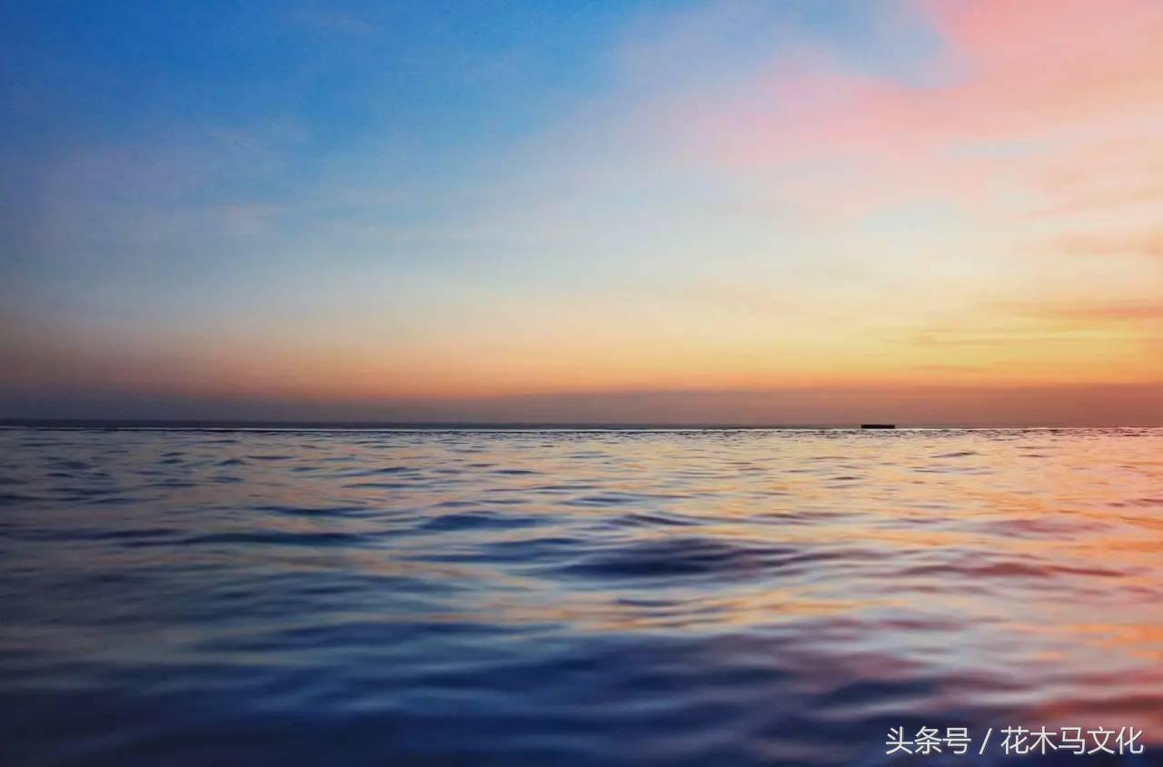 花木马亲子摄影,花木马