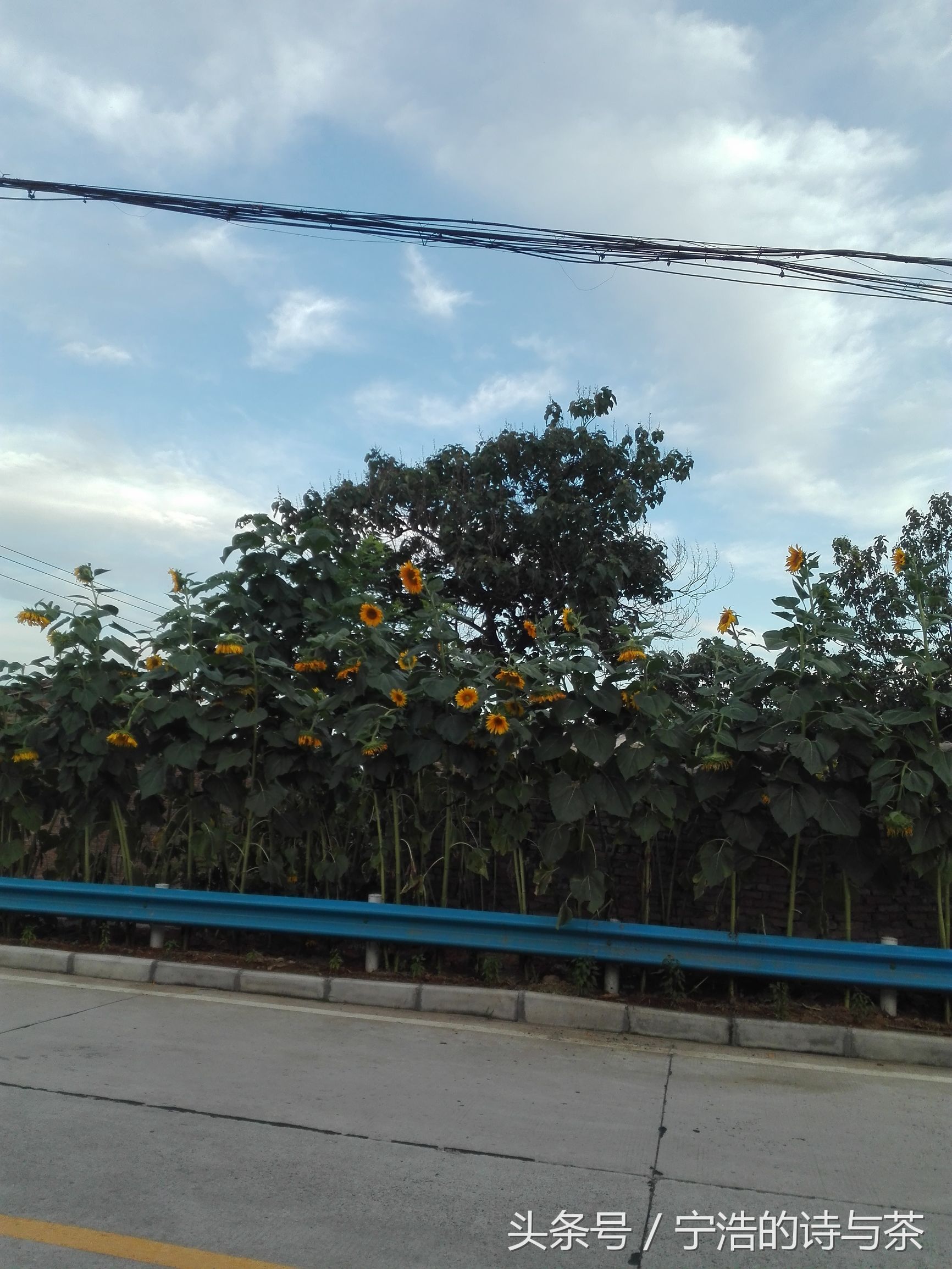 那土坯小屋里的惊魂一夜蝎子蛰伏在我头顶瓦片上