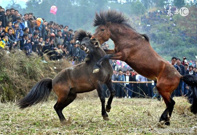 想离职但是老板不批准怎么办,想离职领导不给离职怎么办
