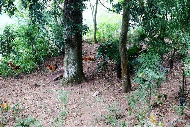 真实的云南农村,云南农村生活真实记录