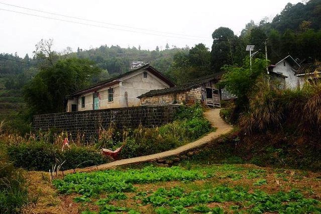真实的云南农村,云南农村生活真实记录
