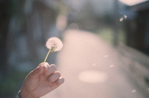 如何面对困难,如何面对偷懒耍滑的同事