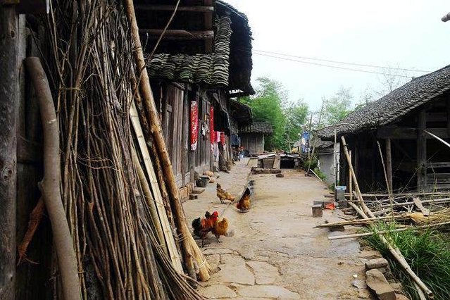 真实的云南农村,云南农村生活真实记录