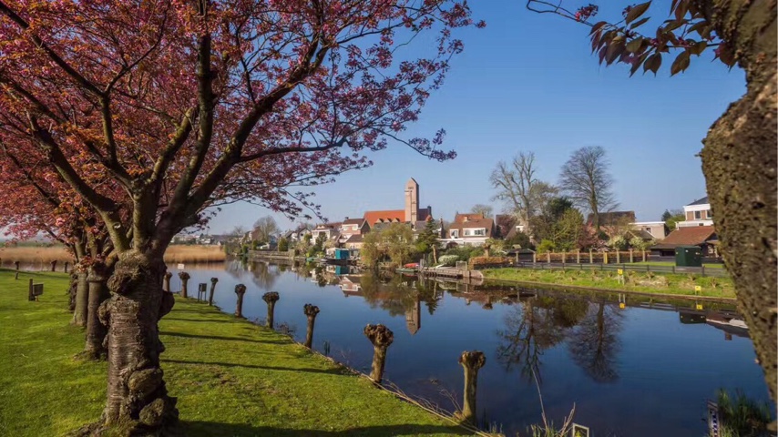 老司机带你玩转旅游美食,老司机带你玩泰国