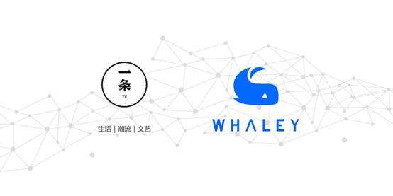 深度分析小米公司,深度剖析小米