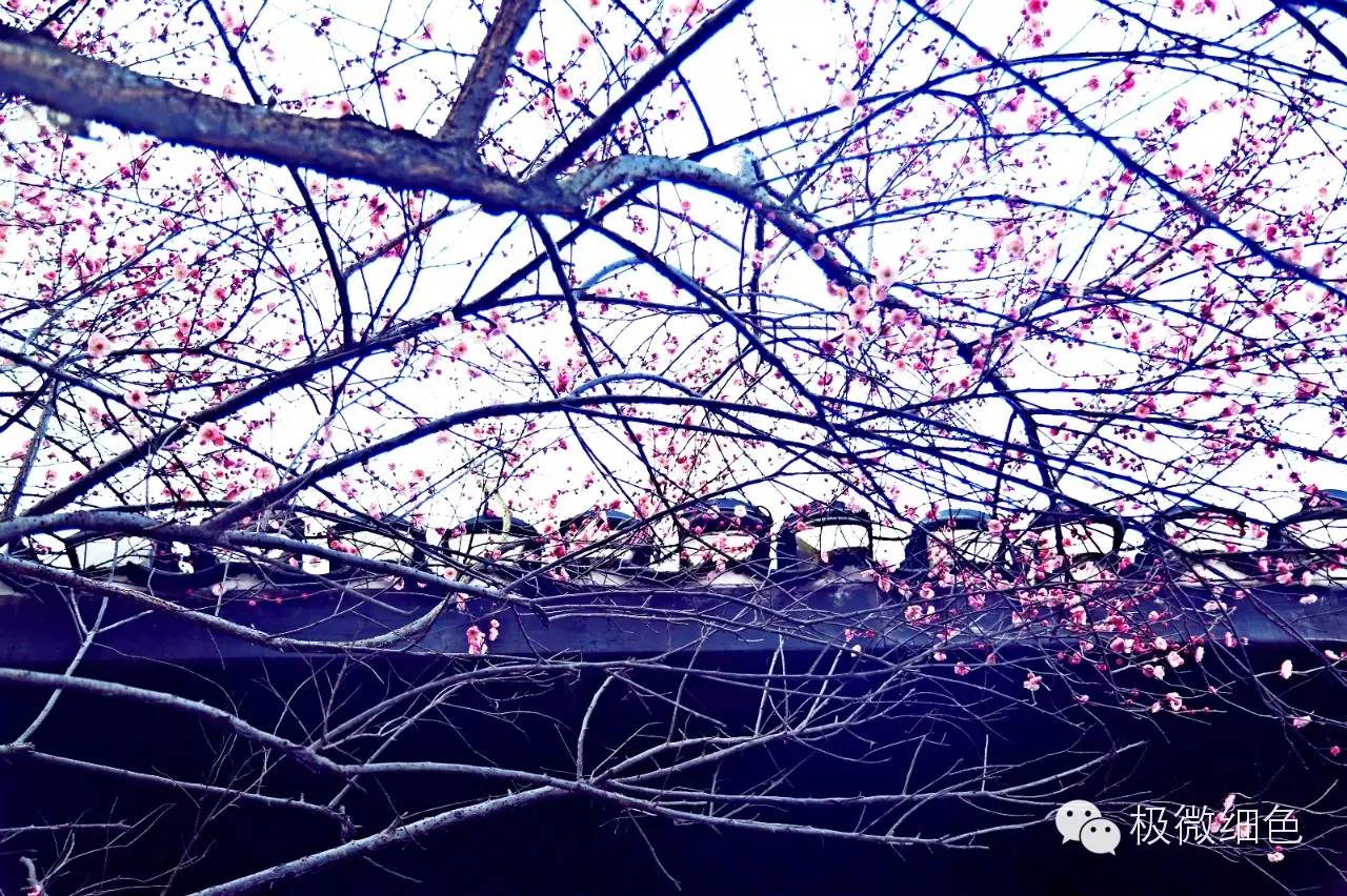 涔惧煄婀樿タ,婀樿タ涔惧煄鍙ゅ煄