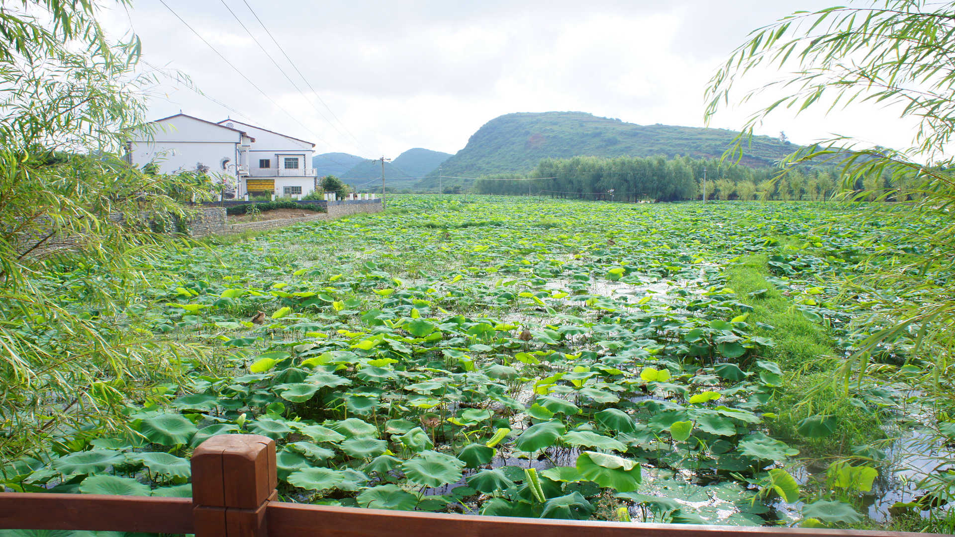 看看如今旧州镇终于找到了历史上夜郎自大的底气