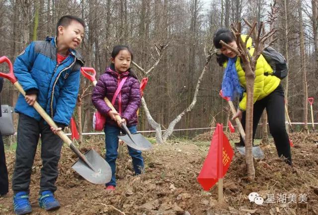七星岩景区桃花,肇庆七星岩的桃花是什么颜色的